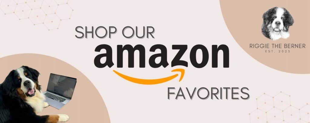 A graphic image that reads "Shop our Amazon Store" and shows a picture of Riggie the Berner sitting in front of a laptop and the Riggie the Berner logo.