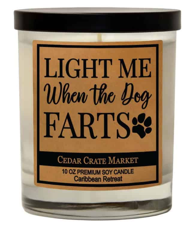 A candle in a glass container with a black lid that says "Light Me When the Dog Farts".