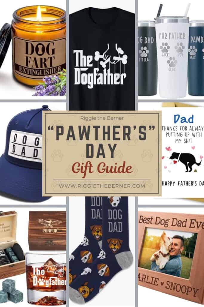 A Pinterest graphic featuring 8 Dog Dad Father's Day gift ideas and a title that says "Pawther's Day Gift Guide".