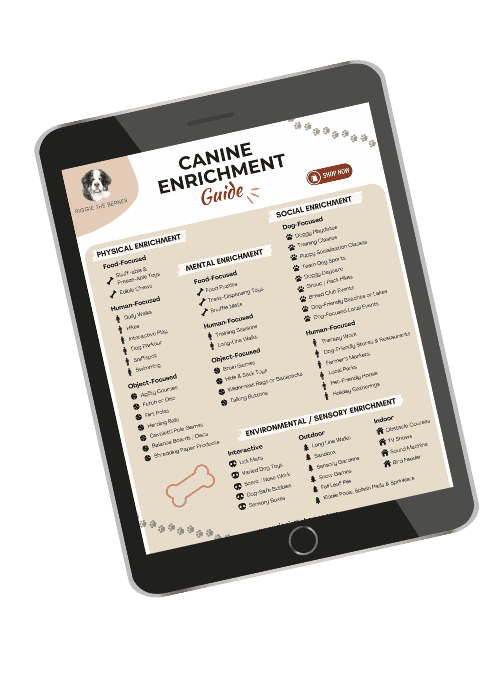 A tablet tilted to the left showing a one page Canine Enrichment Guide.