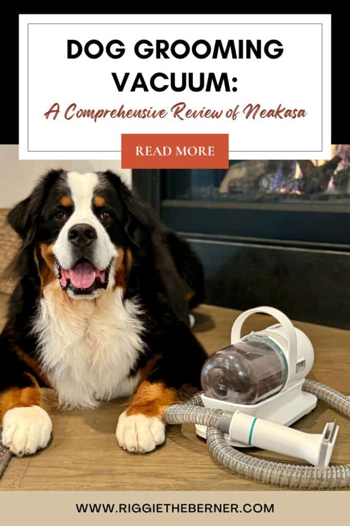 A Pinterest graphic that says "Dog Grooming Vacuum: A Comprehensive Review of Neakasa" with a Bernese Mountain Dog sitting next to a dog grooming vacuum.