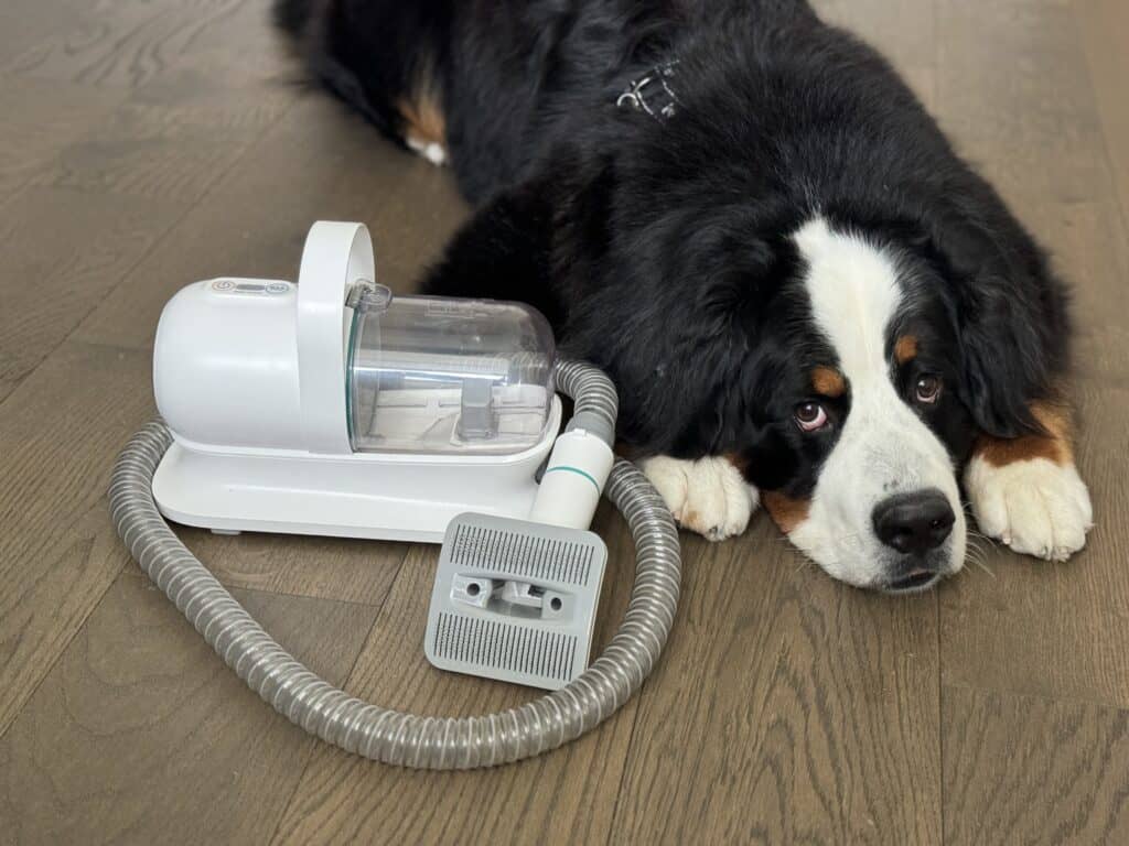 A Bernese Mountain Dog named Riggie laying on a wood floor next to a Neakasa Dog Grooming Vacuum System.