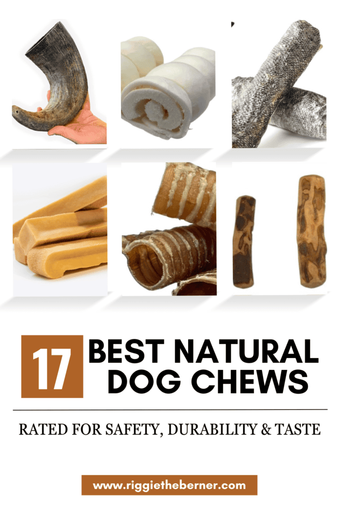 A Pinterest graphic that shows 6 photos of natural dog chews and states "17 Best Natural Dog Chews - rated for safety, durability and taste".