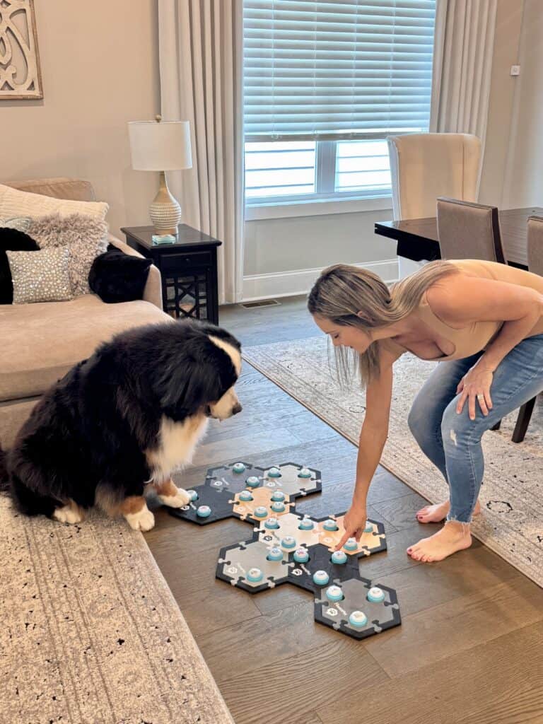 A Bernese Mountain Dog watching a woman press a button on a FluentPet soundboard.