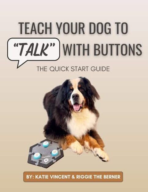 Cover of a pdf document titled "Teach Your Dog To 'Talk' with Buttons: The Quick Start Guide" with a photo of a Bernese Mountain Dog named Riggie on the cover and a FluentPet hextile with 3 sound buttons.