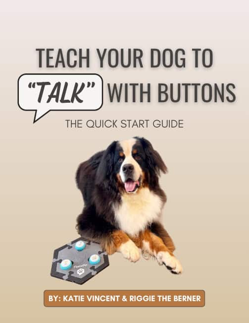 Cover of a pdf document titled "Teach Your Dog To 'Talk' with Buttons: The Quick Start Guide" with a photo of a Bernese Mountain Dog named Riggie on the cover and a FluentPet hextile with 3 sound buttons.