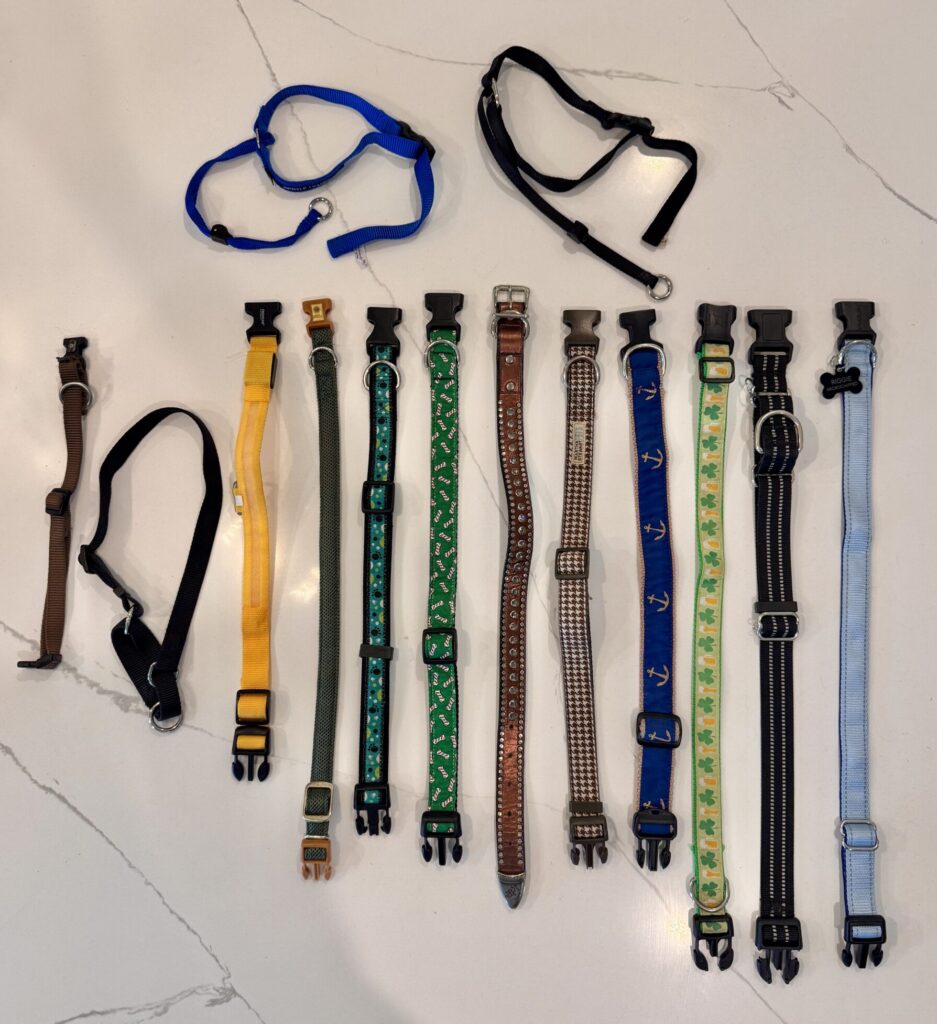 A photograph showing various styles and brands of dog collars lying flat on a white surface.