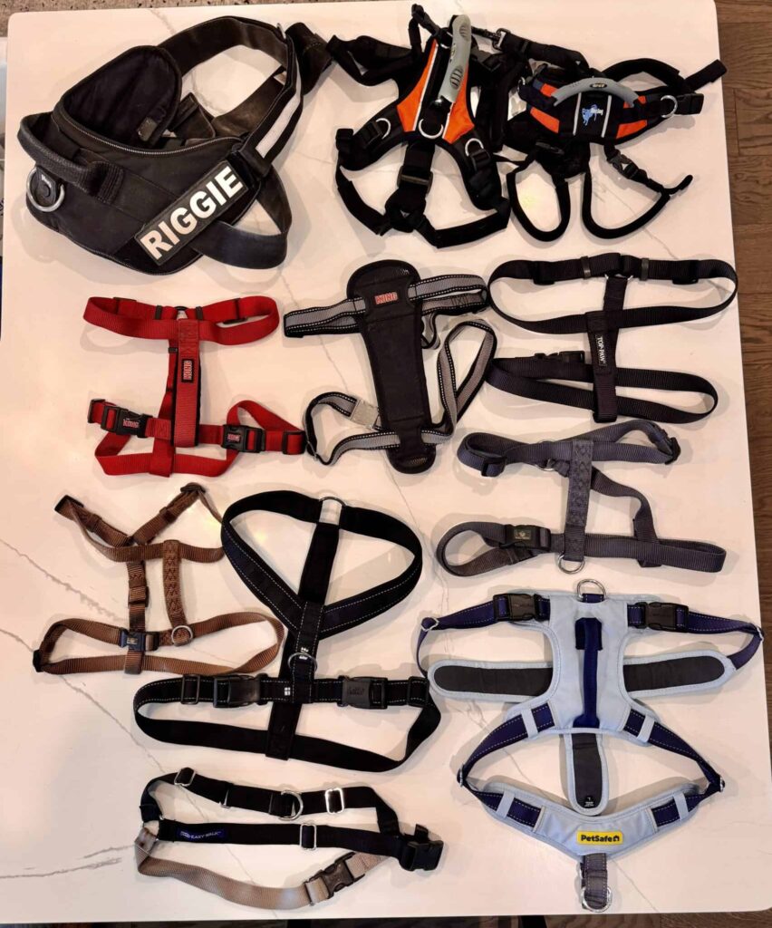 A photograph showing various styles and brands of dog harnesses lying flat on a white surface.