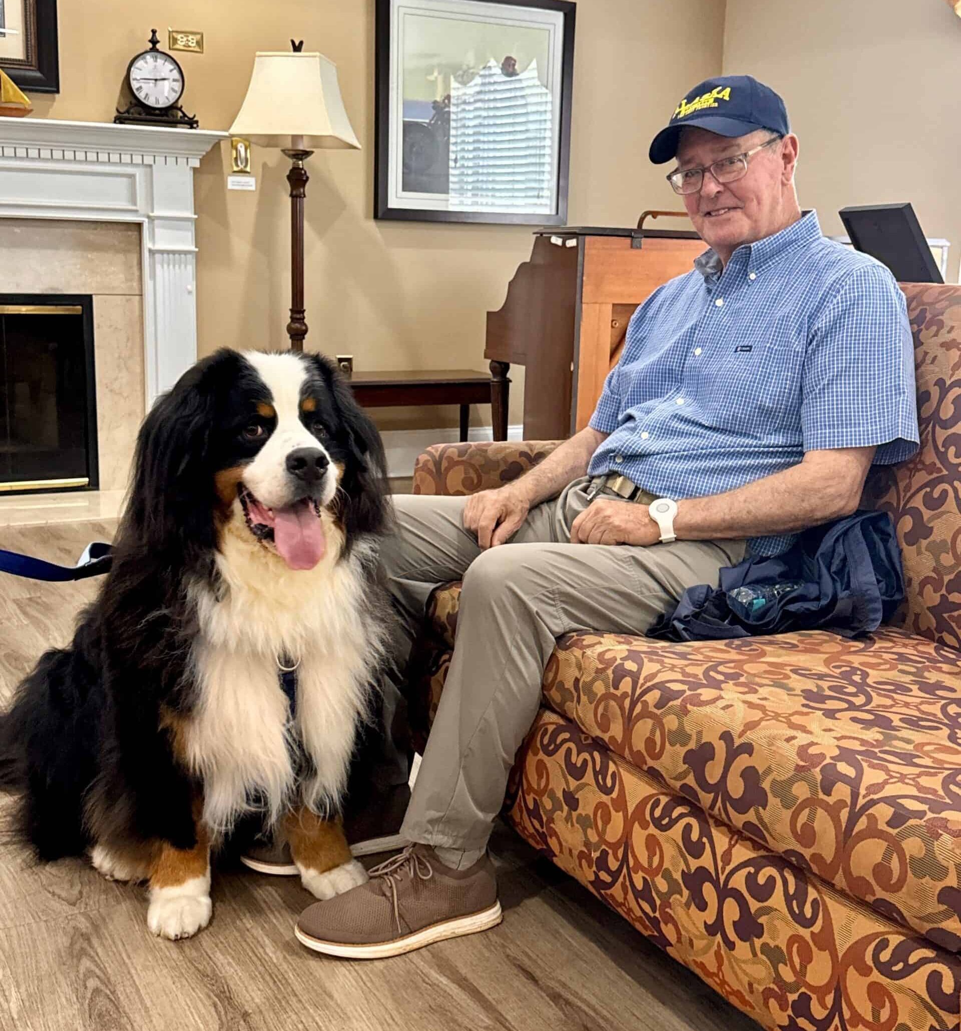 A Bernese Mountain Dog sitting next to an older man who is sitting on a couch. The dog is wearing a PetSafe Easy Walk Comfort No-Pull Harness, and the man is wearing a navy blue hat, glasses, a blue and white checked-print button-down shirt, khaki pants, and brown shoes.