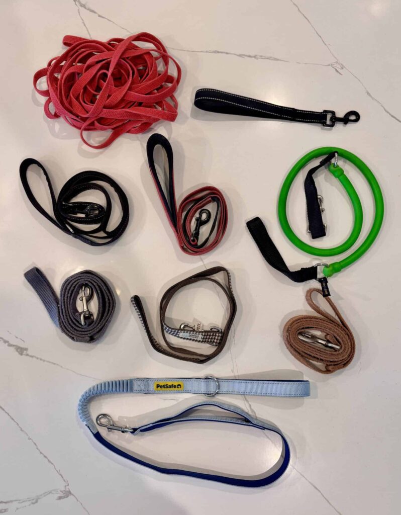 A photograph showing various styles and brands of dog leashes lying flat on a white surface.
